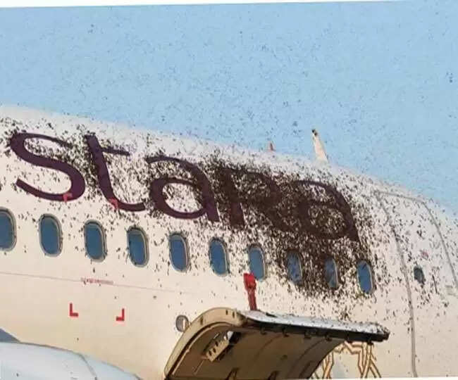 Bee Attack Two Flights 3