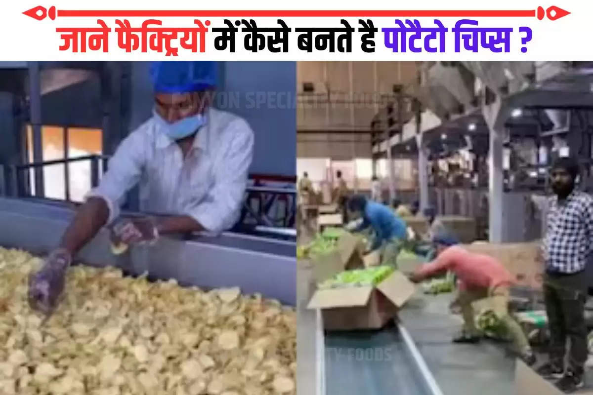 Potato Chips making in factory