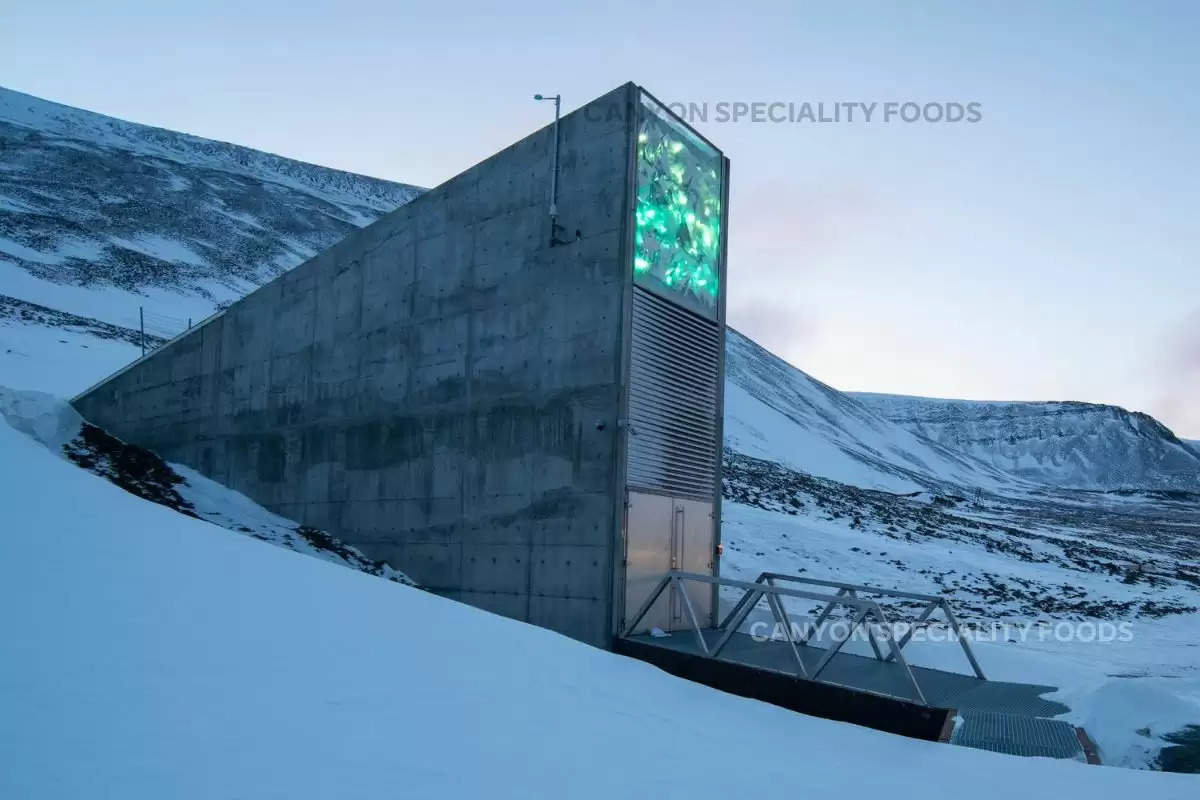 secret-doomsday-vault