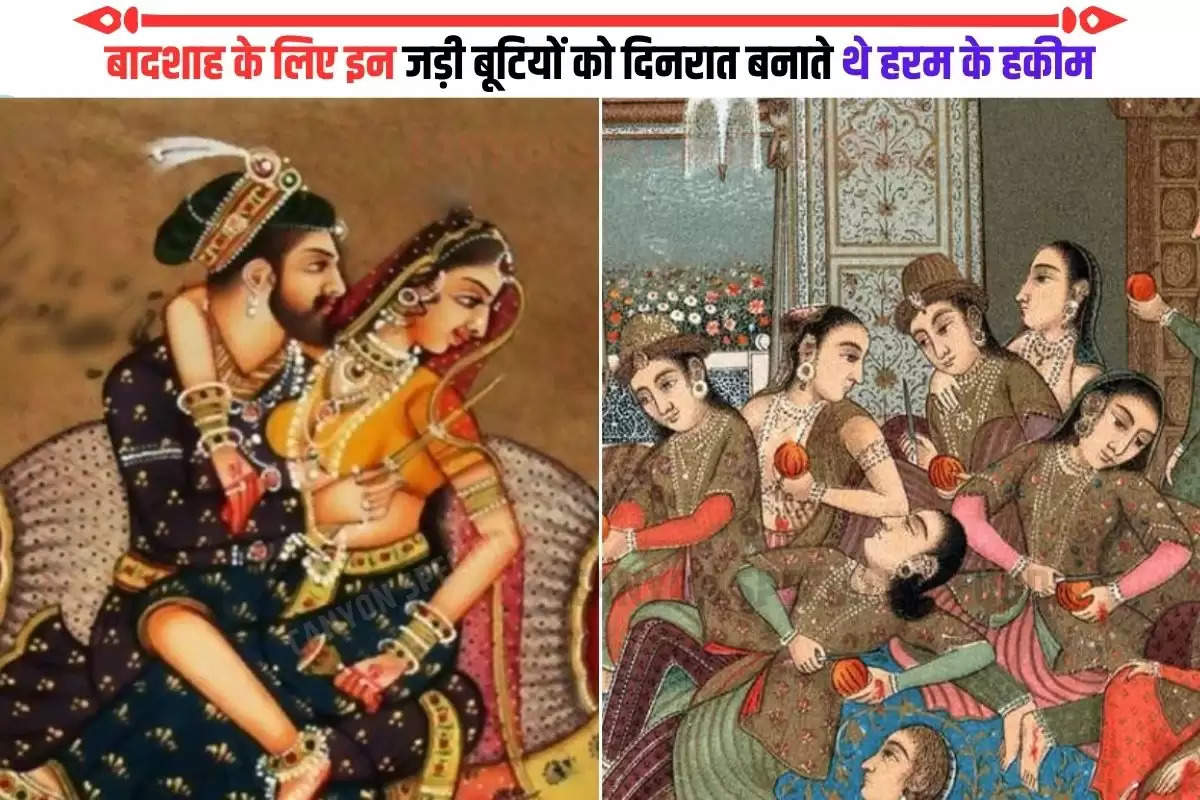 mughal harem spend night women