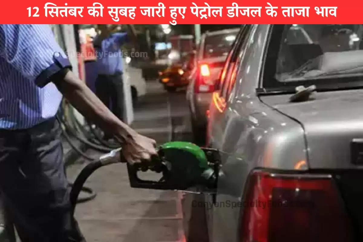 petrol-diesel-price12-september-2024