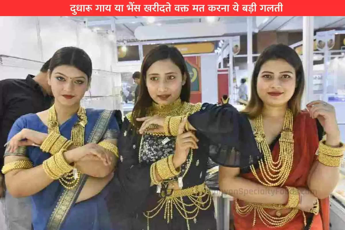 sona-chandi-mehanga