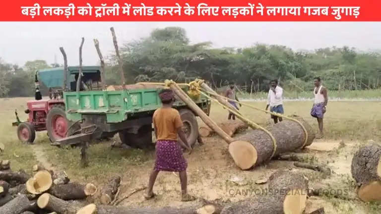 Trick to load wood into trolley