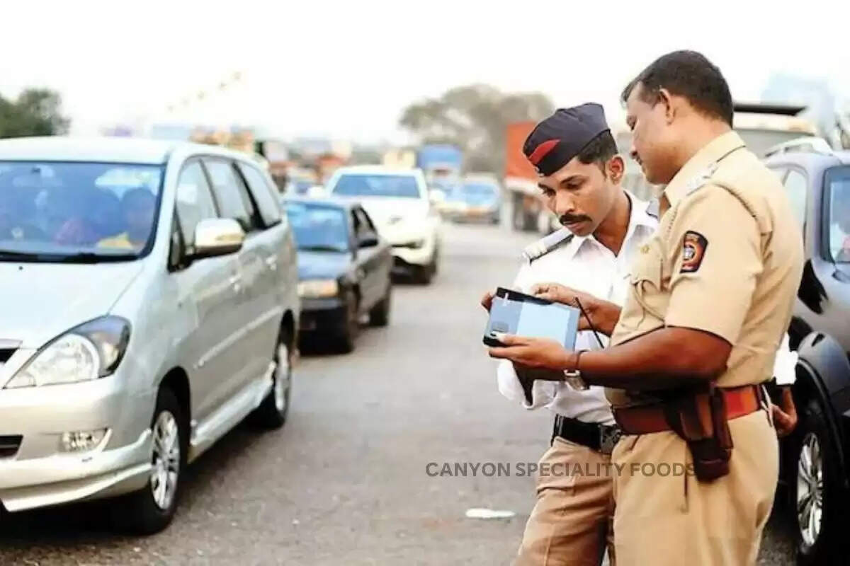 Traffic Challan,Traffic Rules,numbr plate challan,automatic Challan,online challan kaise bhare,online challan,seat belt challan,helmet challan,traffic challan kaise bhare,ट्रैफिक चालान,Number plate par kitna jurmana