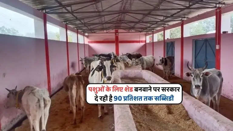 MNREGA Animal Shed Scheme