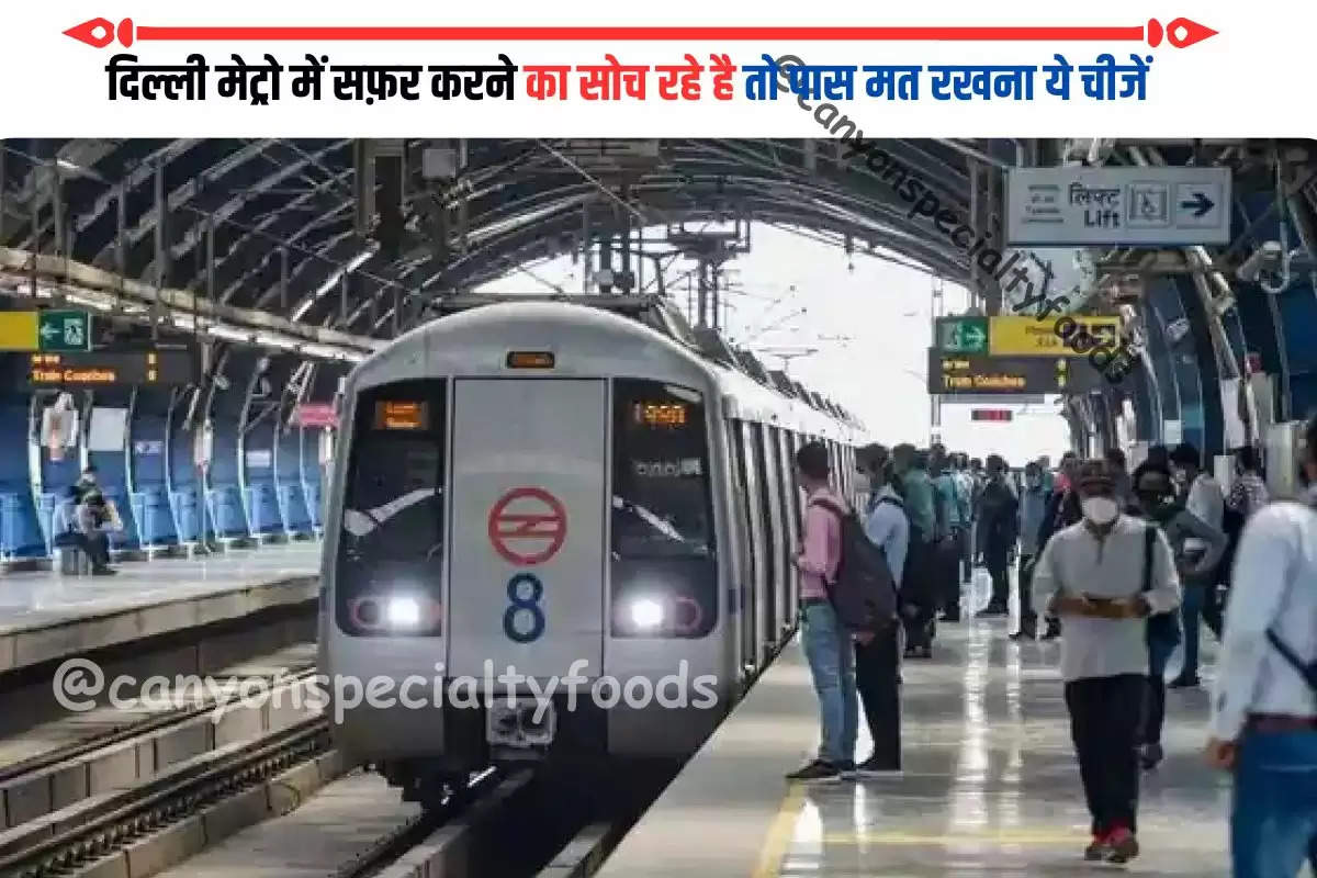 दिल्ली मेट्रो में सफ़र करने का सोच रहे है तो पास मत रखना ये चीजें