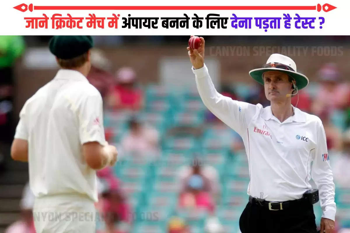 How to become Umpire