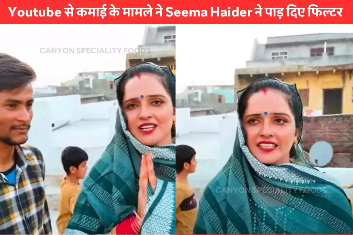 how-much-money-is-seema-haider-earning-from-youtube