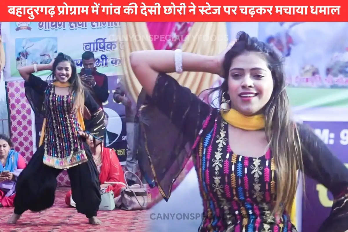 chhaya chaudhary dance tera figar