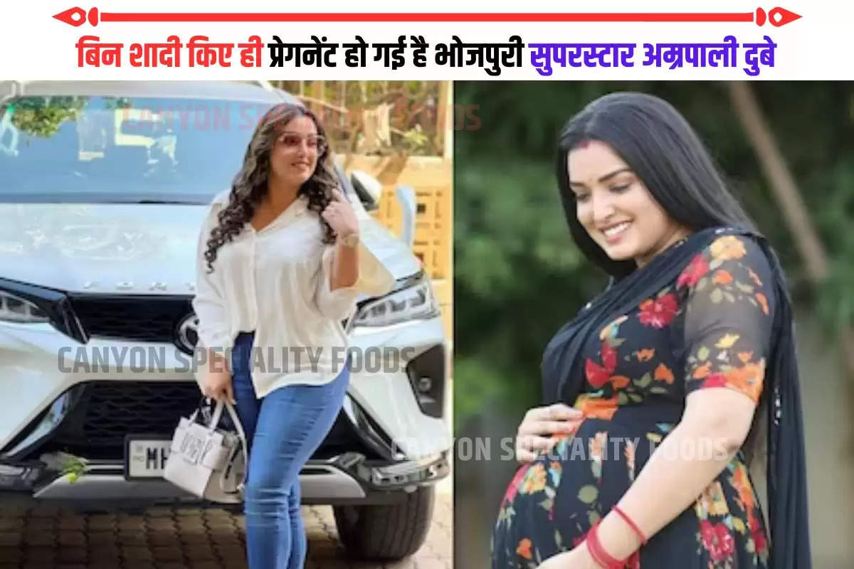 Aamrapali Dubey Baby Bump Pictures (2)