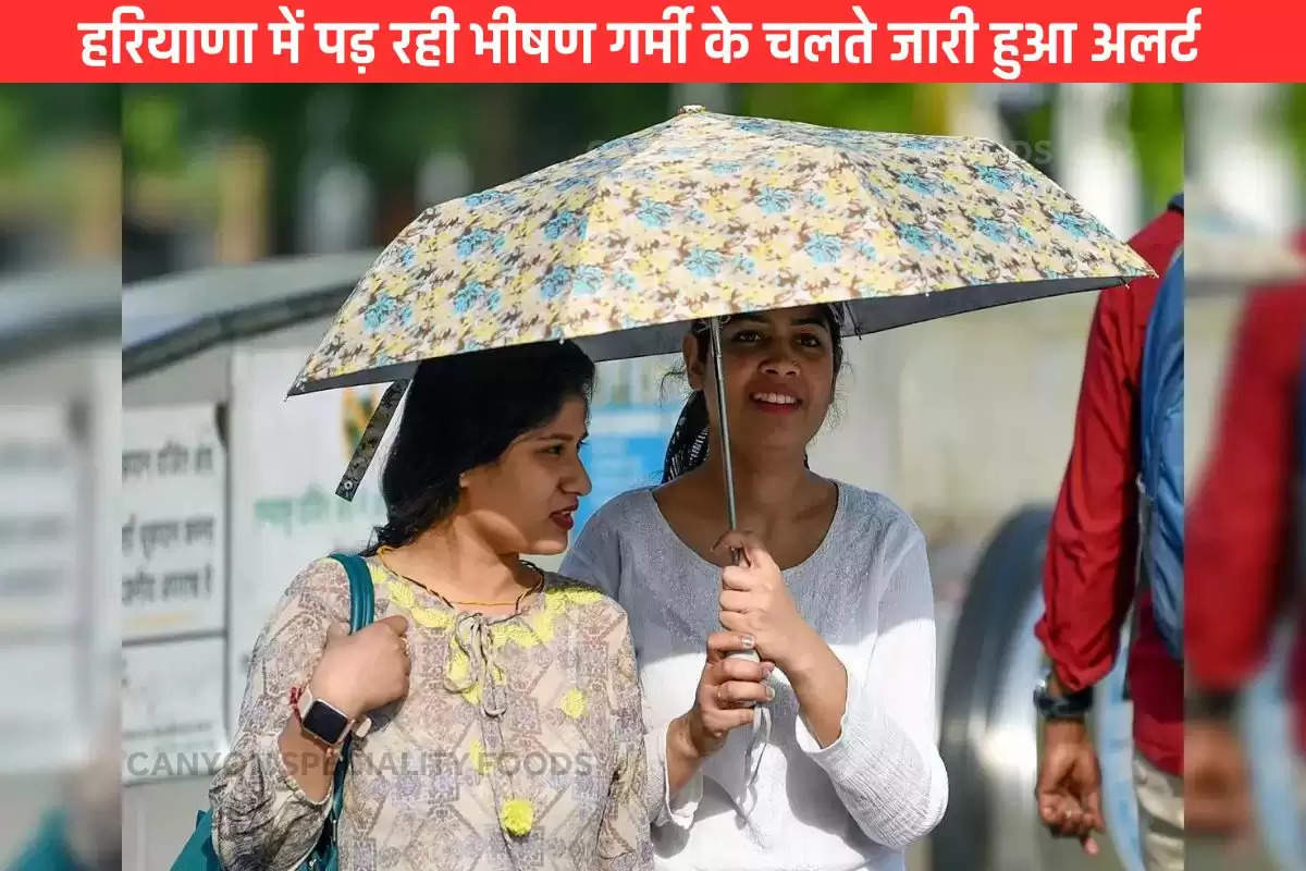 Haryana Weather Update on may 18 2024