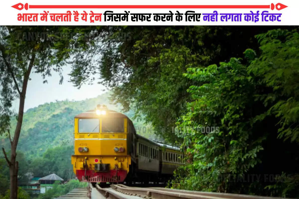 bhakra nangal free train