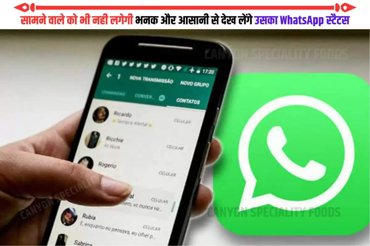 see whatsapp status without being seen
