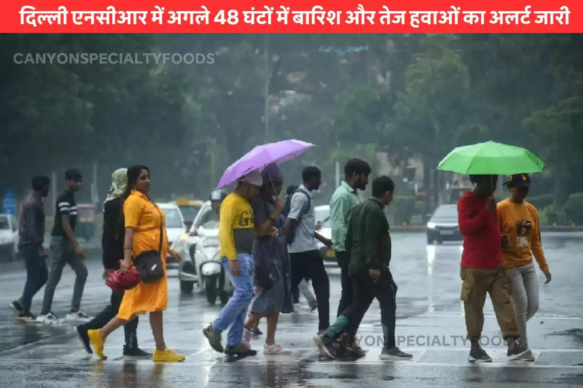 Delhi Weather Update (5)