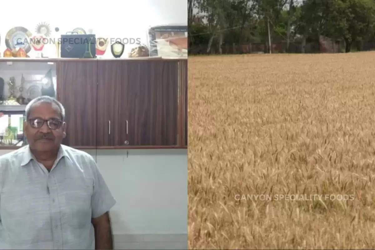 successful-farmer-from-mathura