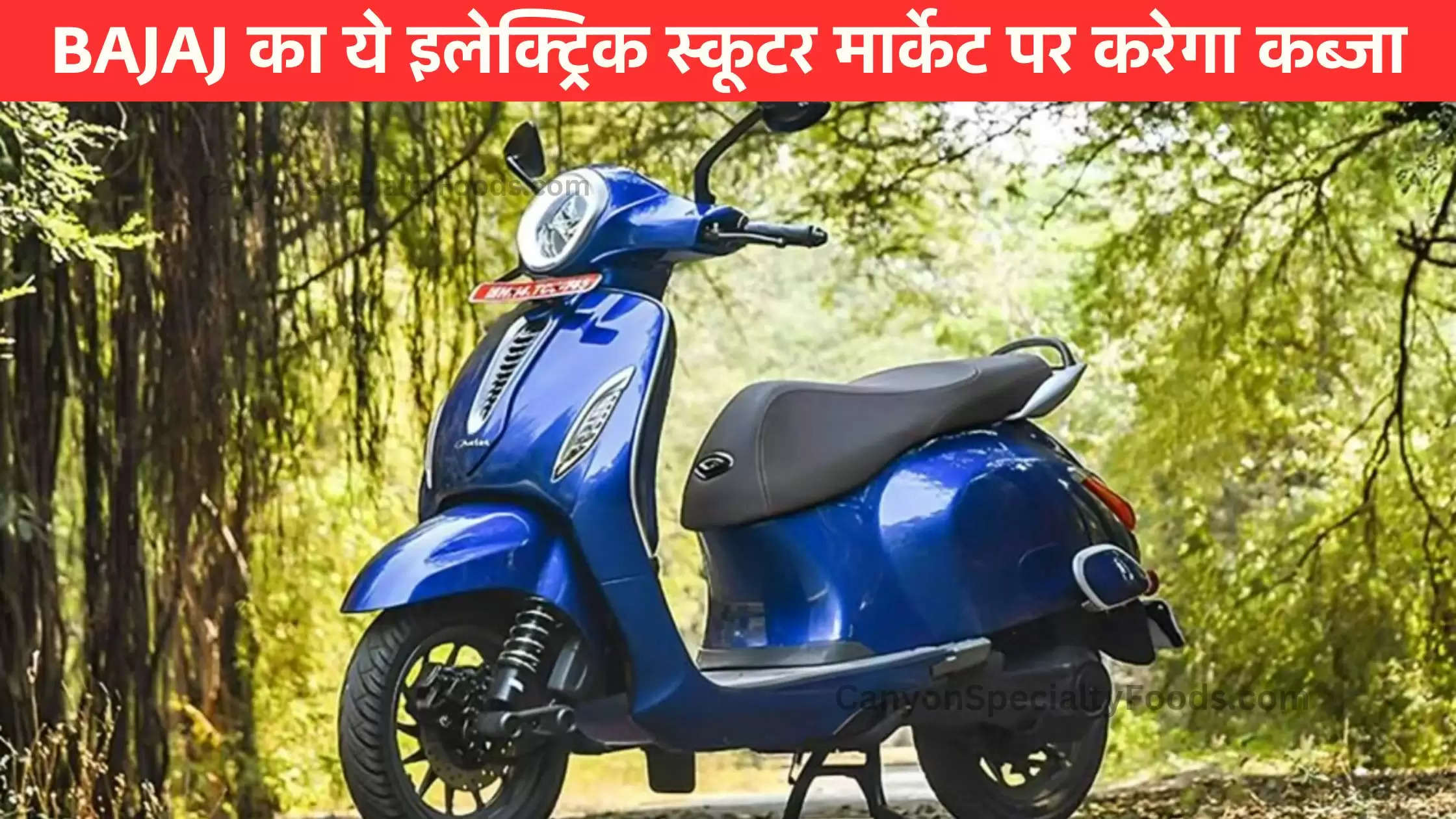 Bajaj Eletric Scooter