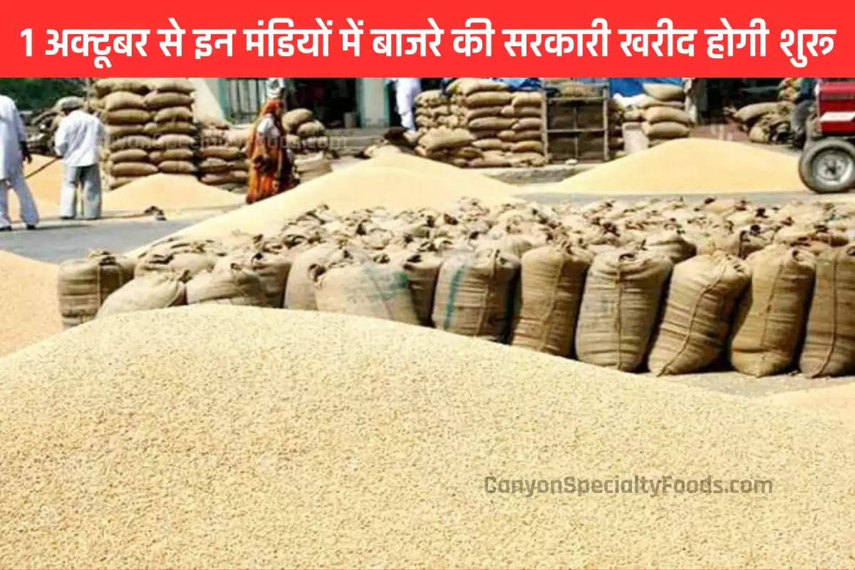 govt-purchase-of-millet