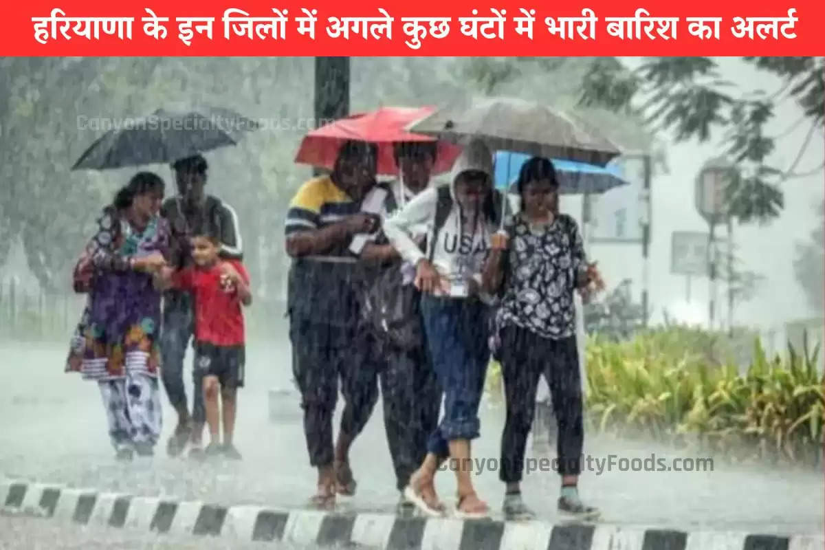 haryana-weather