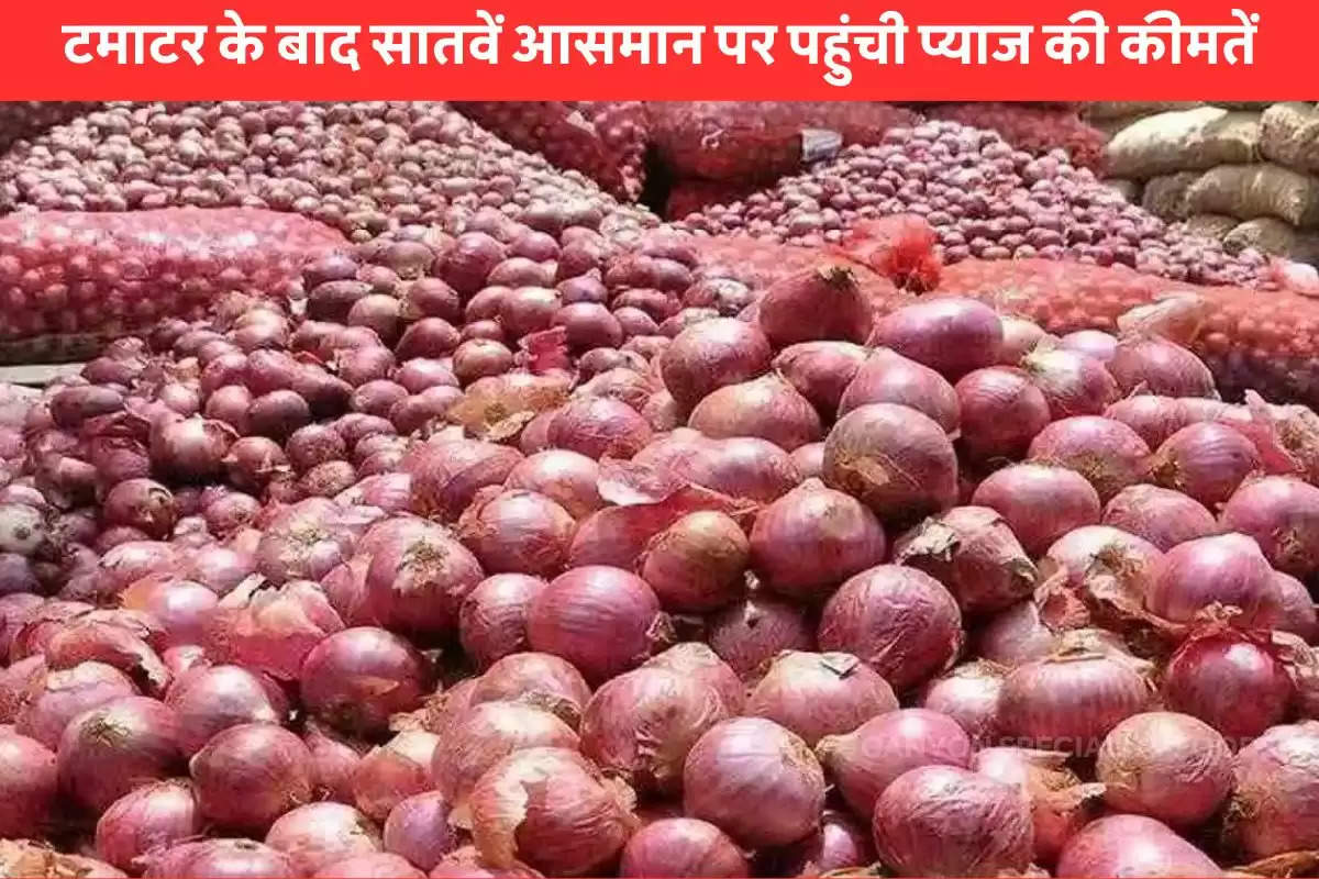 today onion prices