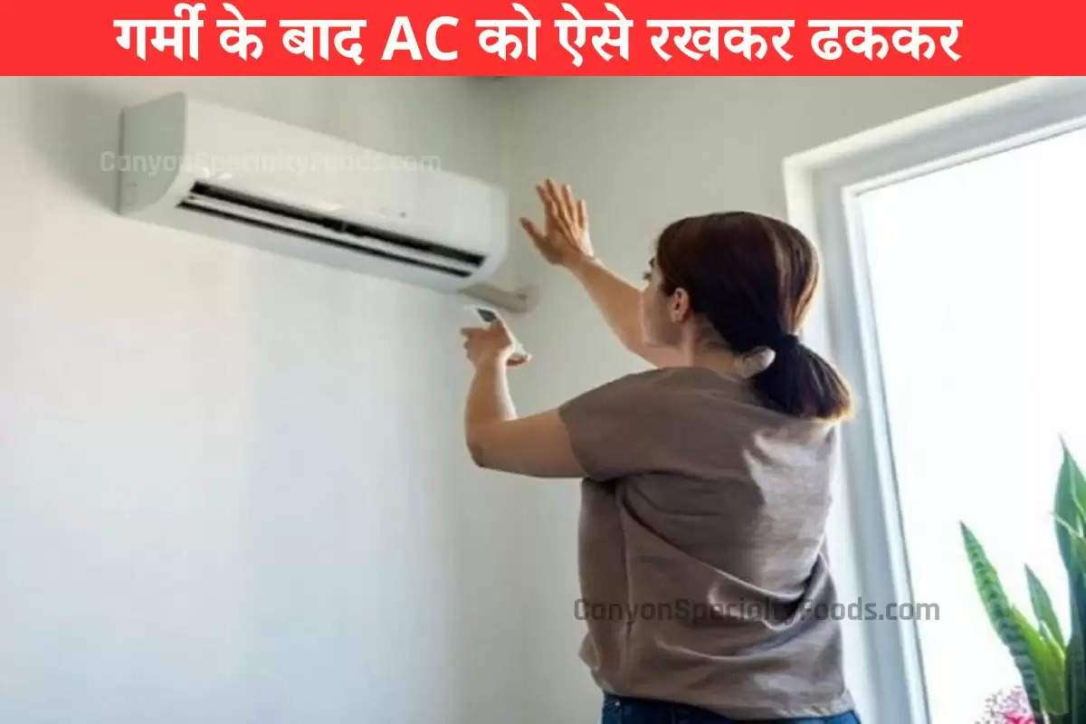 गर्मी के बाद AC को ऐसे रखकर ढककर