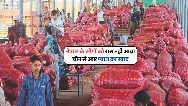 indian onion in nepali market