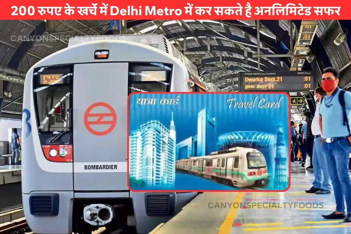 tourist smart card delhi metro