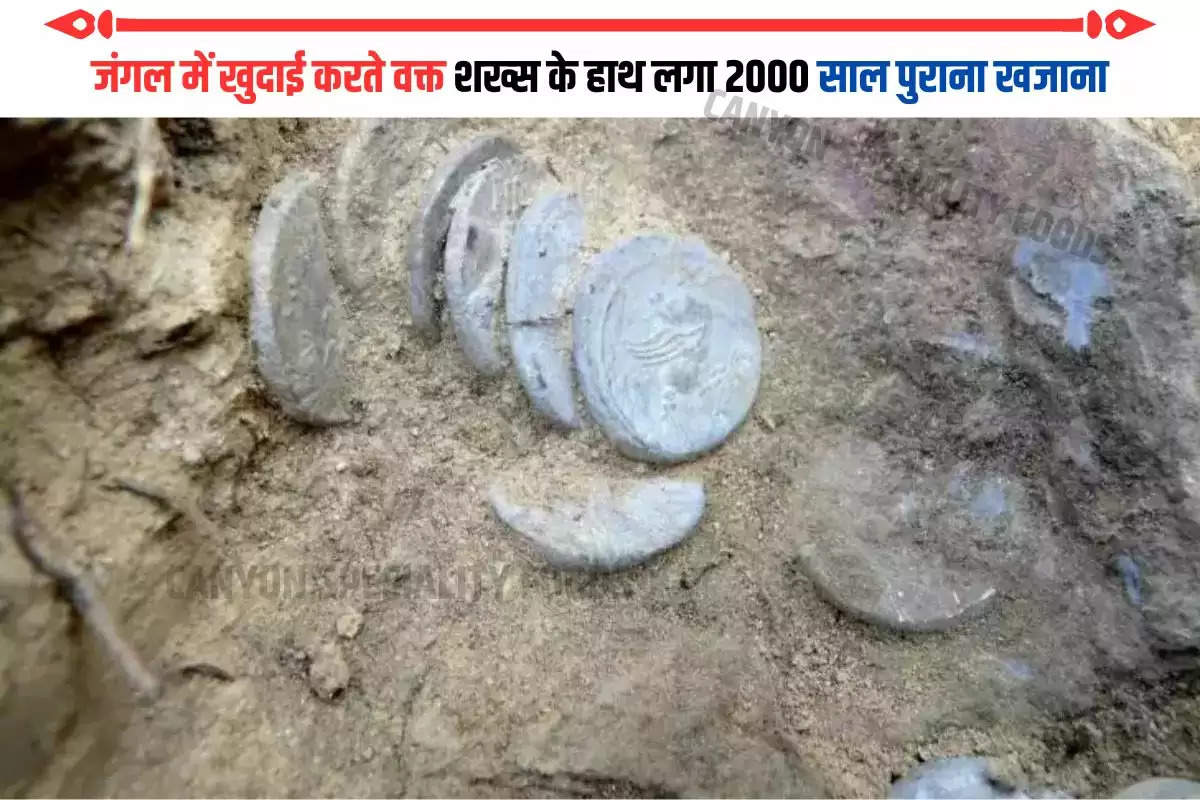 जंगल में खुदाई करते वक्त शख्स के हाथ लगा 2000 साल पुराना खजाना