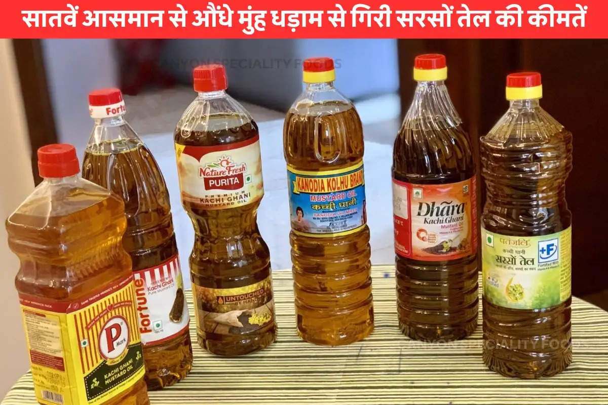 Mustard Oil Price (1)