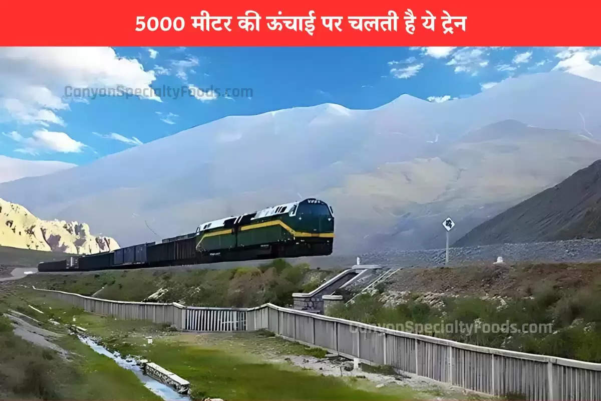 the-worlds-highest-railway