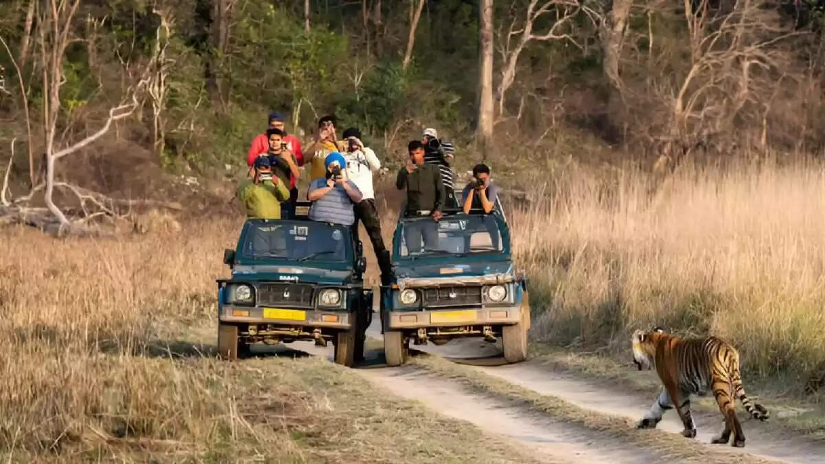 Haryana Jungle Safari