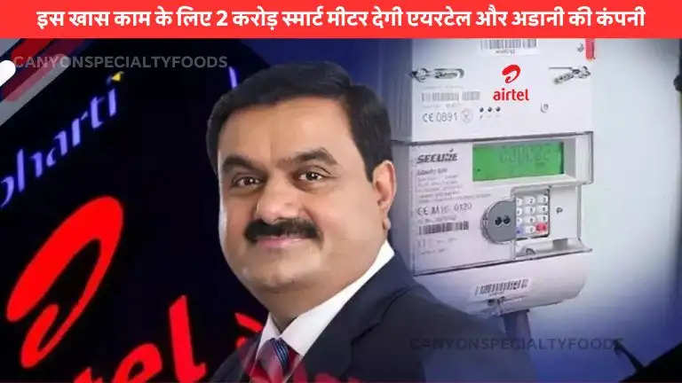 airtel smart meters for adani energy solutions