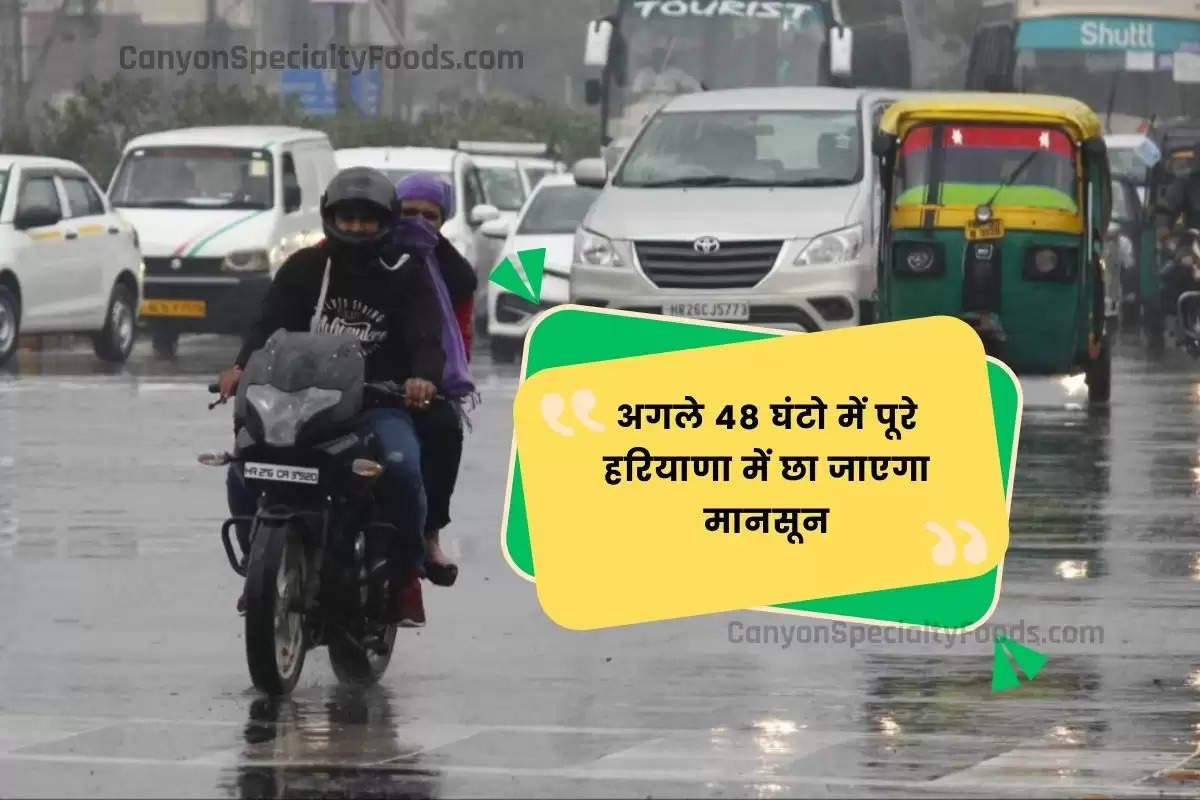 hisar-state,haryana weather, haryana weather update, haryana weather report, haryana weather report today, haryana ki weather report, skymet weather report haryana, haryana mausam news, haryana mausam news today, haryana weather news,