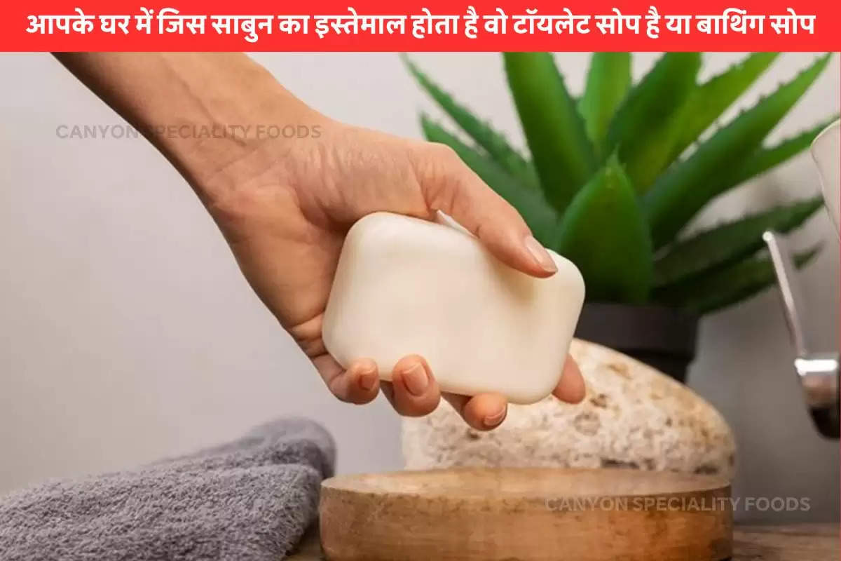 difference between toilet soap and bathing soap