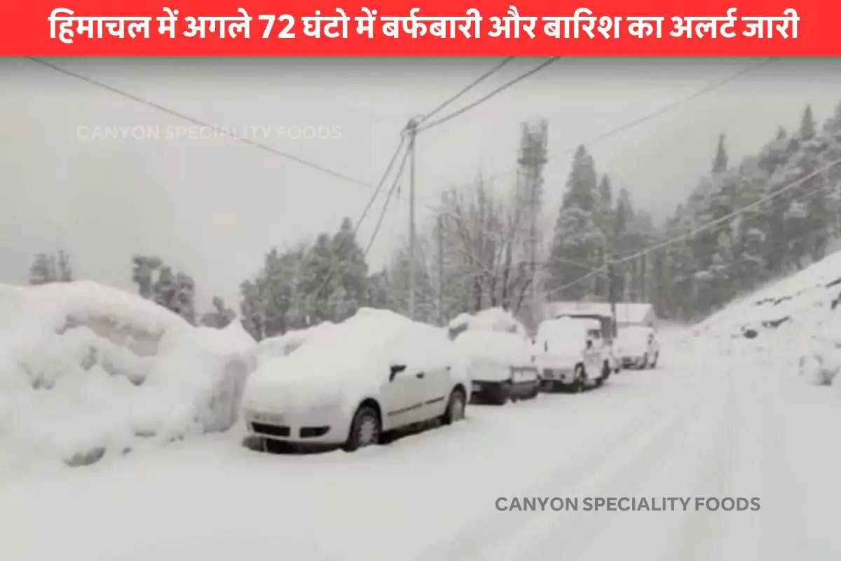 himachal pradesh snowfall