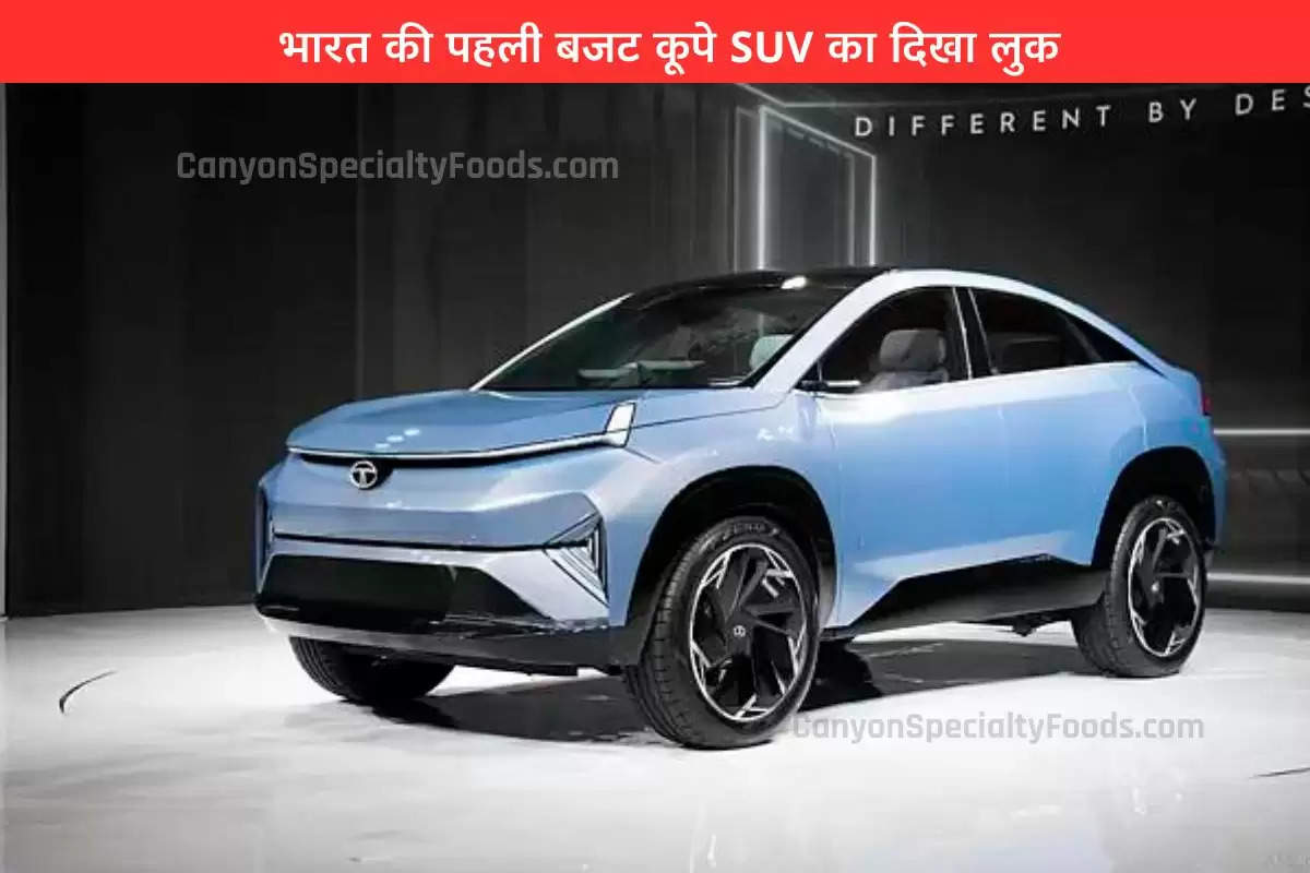 tata-curvv-ev