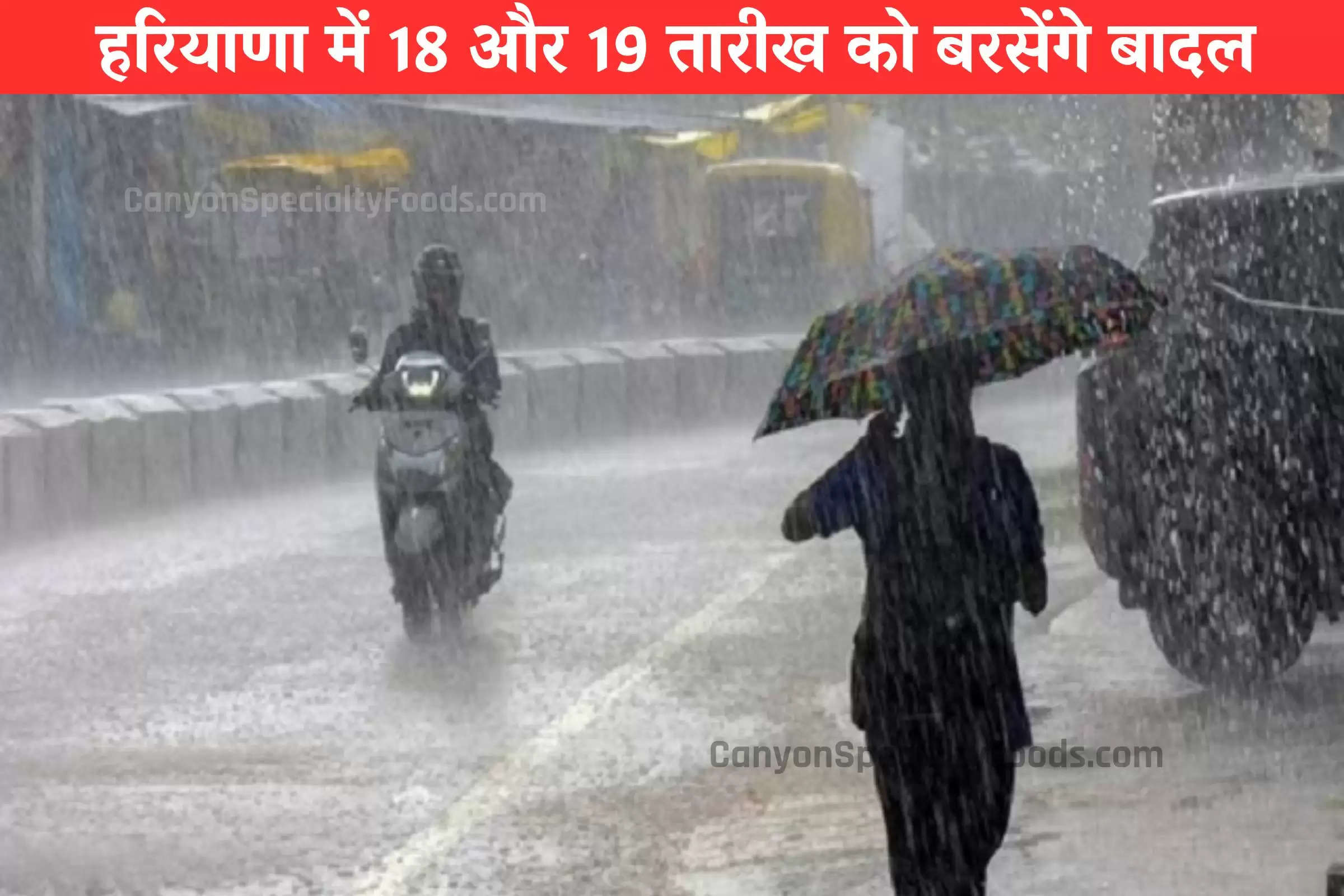 haryana-weather-update