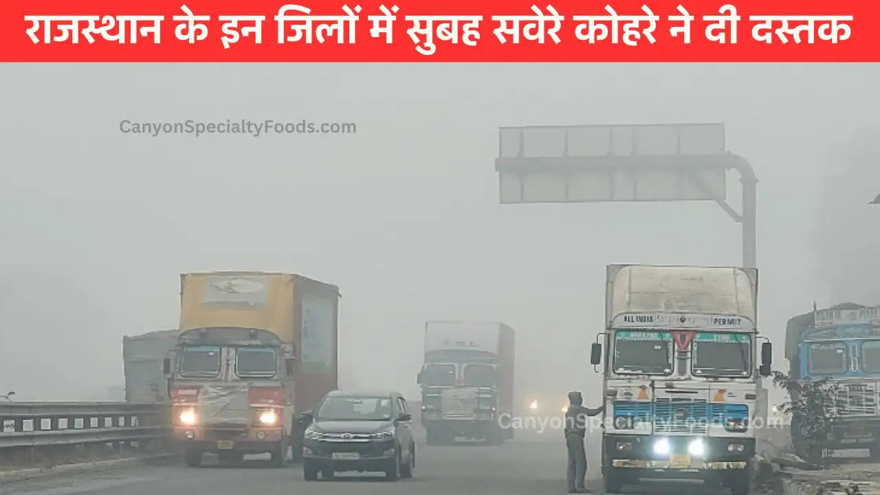 Rajasthan Weather: पश्चिमी राजस्थान के कई जिले कोहरे की चपेट में, पांच दिनों में तापमान में भी आएगी गिरावट