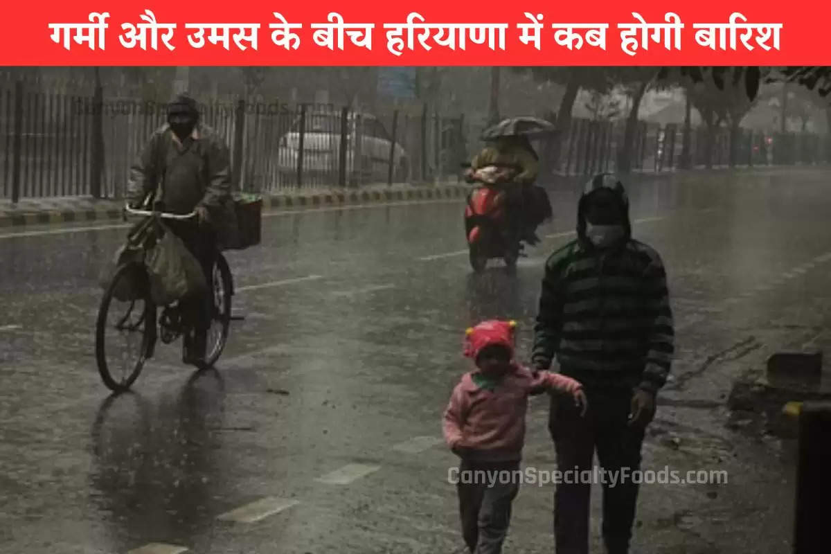 weather-will-change-again-in-haryana