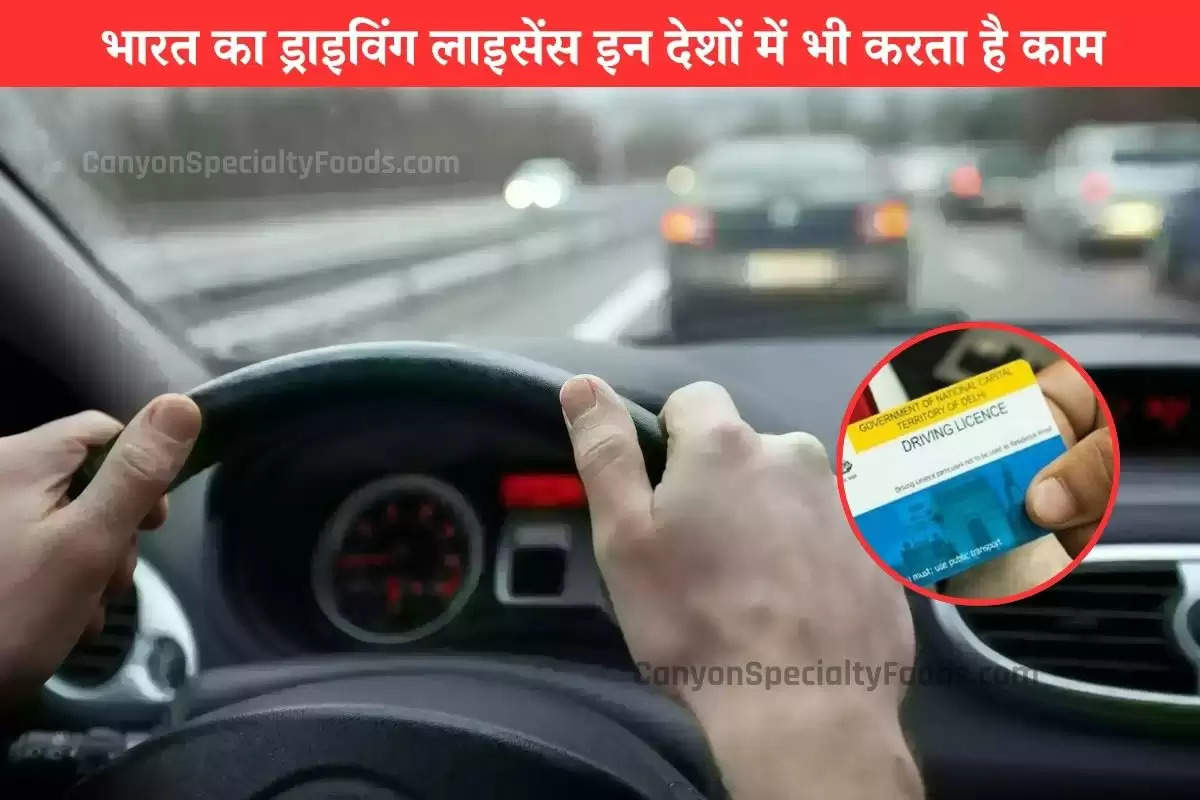 indian-driving-license