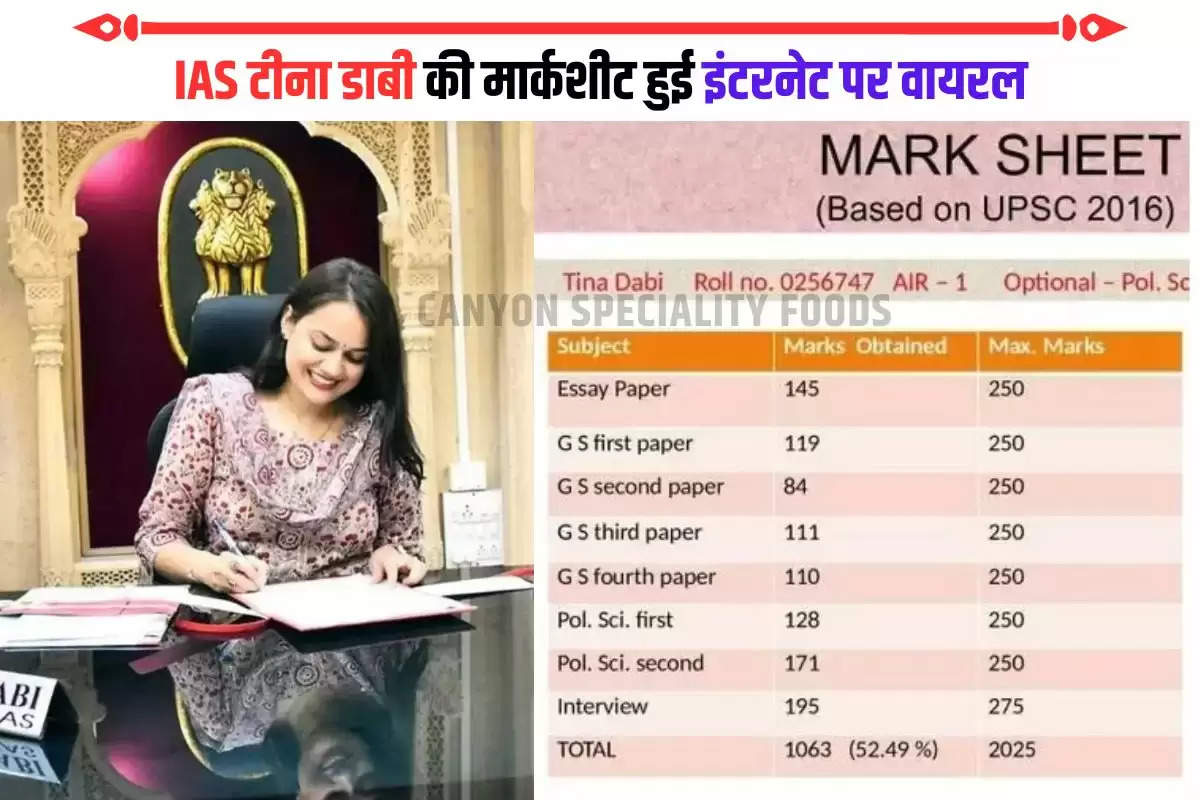 IAS Tina Dabi Marksheet (1)