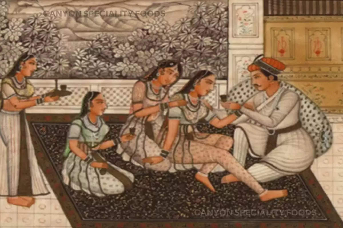 mughal harem stories (1)