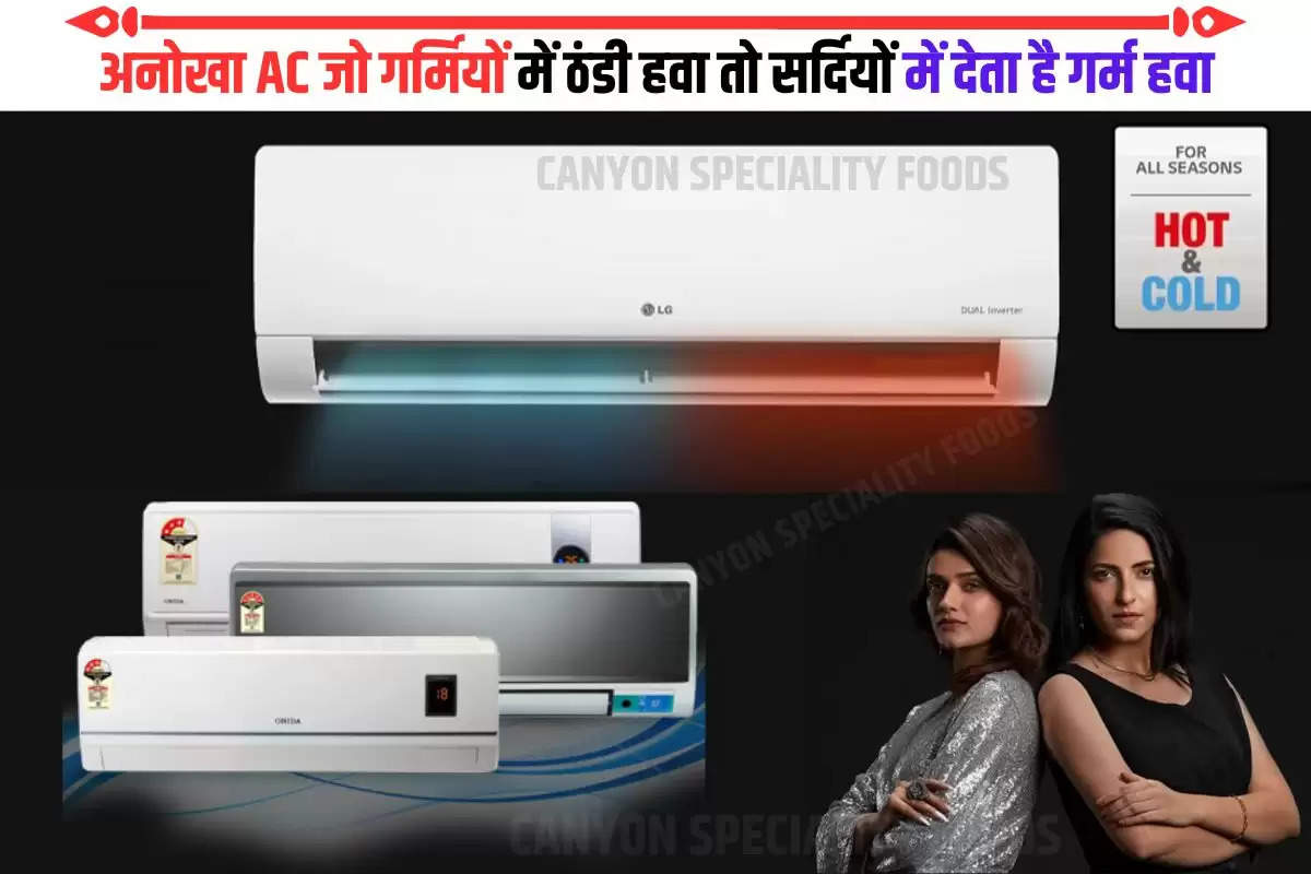 Hot and Cold Inverter Split AC