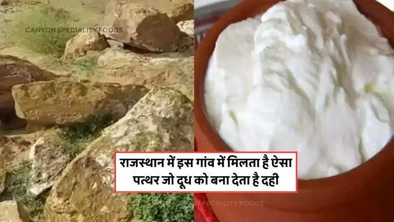 miraculous-stone-found-in-this-village-of-rajasthan