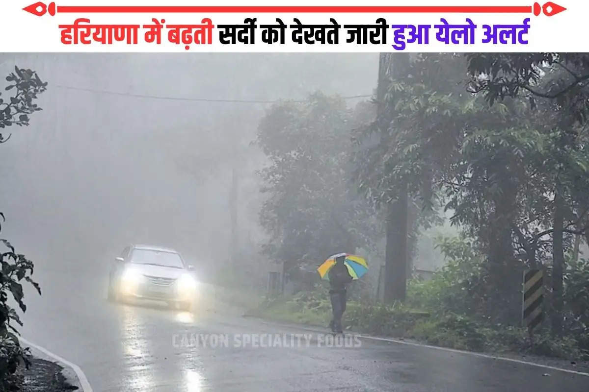 IMD Weather Update haryana