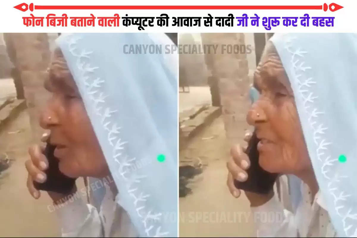 Haryanvi dadi funny video