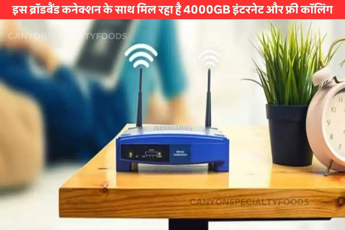 bsnl 300 mbps broadband plan
