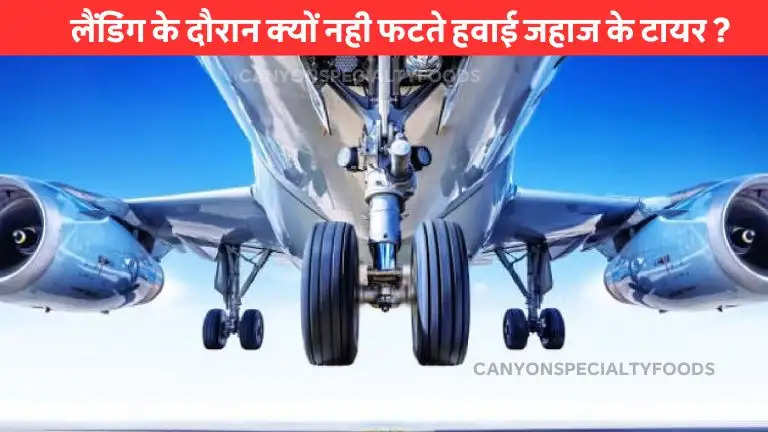 Aeroplane Tyre Fact