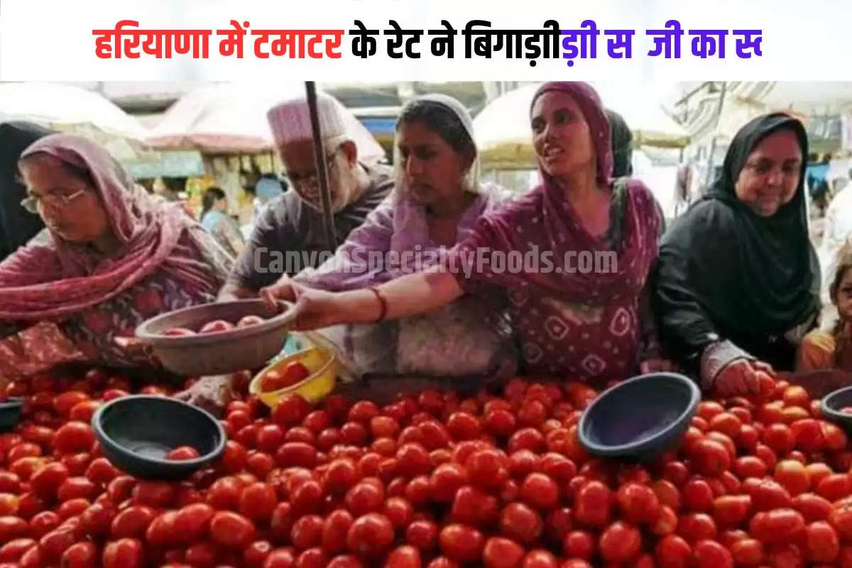 Tomato Price Rise on Low supply