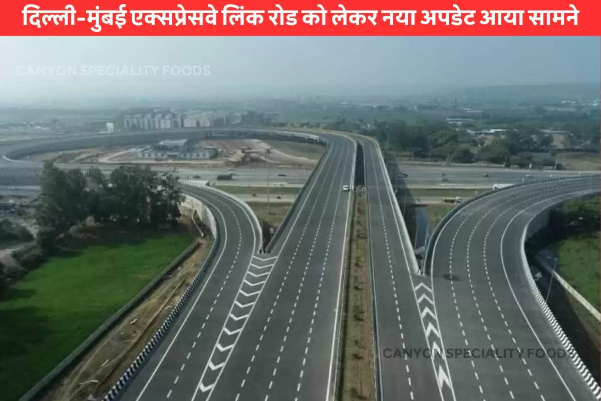 Delhi-Mumbai Expressway (1)