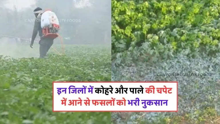 up weather crops are getting